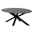 Gartentisch Coral Oval 180cm x 100cm