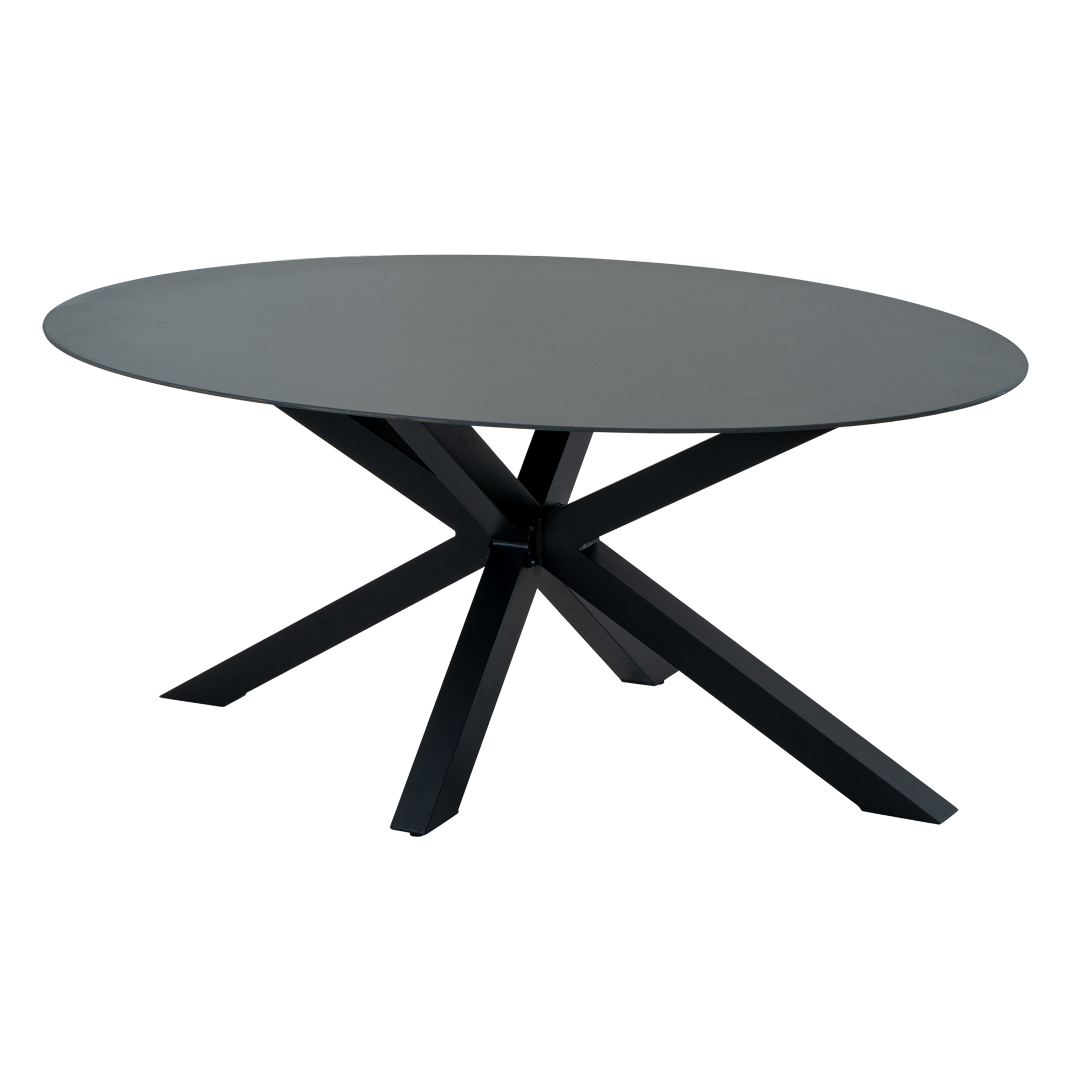 Gartentisch Coral Oval 180cm x 100cm